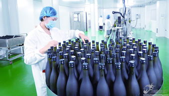 酵億生物科技 以深度創新驅動研發，邁向生物科技價值鏈高端